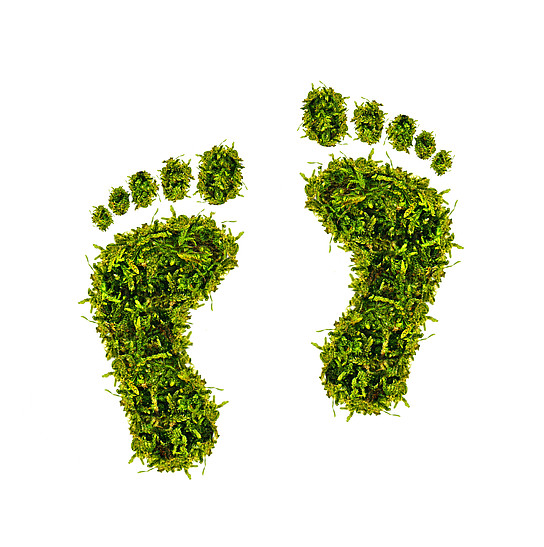 Green_footprint.jpeg 