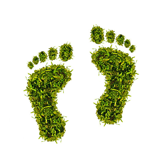 Green_footprint.jpeg